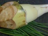Guariroba "in natura"