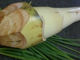 Guariroba "in natura"