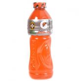 Isotônico Gatorade frutas cítricas 500ml