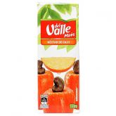 Suco Del Valle caju 1l